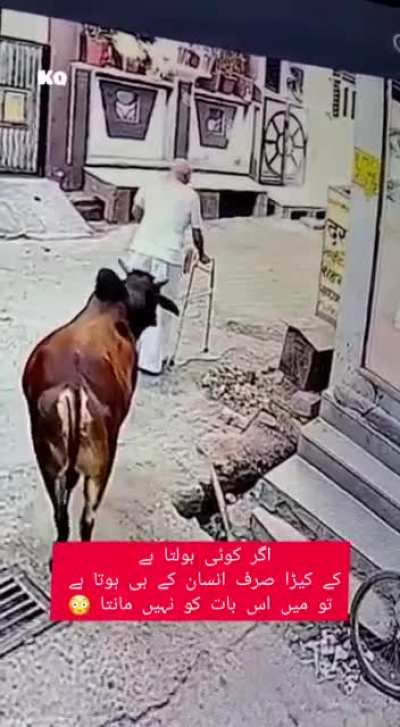 Just fuck you!