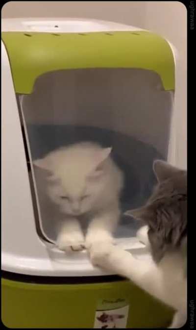 &ldquo;must I stay here for eternity&rdquo;