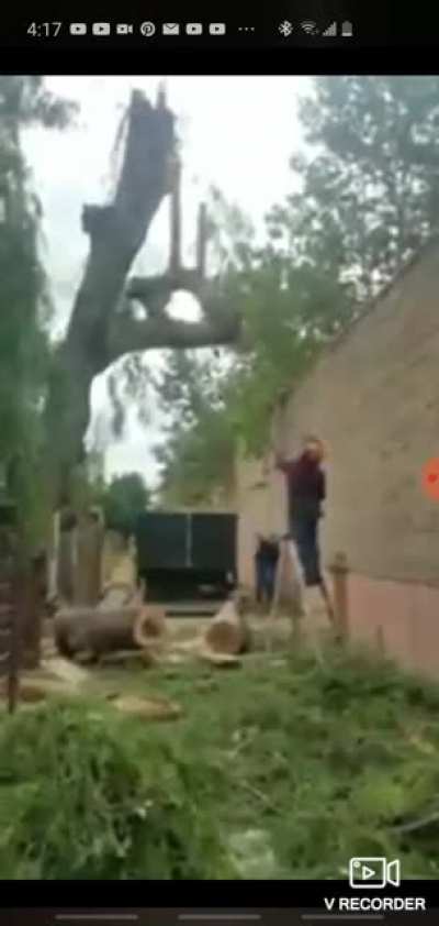 Treecapitation