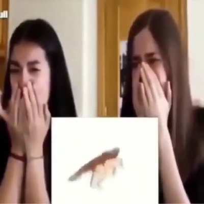 Tfw