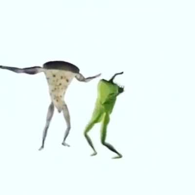 Pizza time