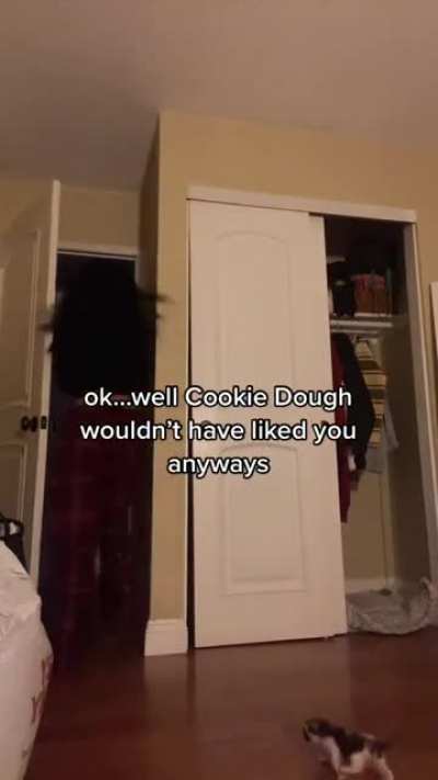 Ok, but Cookie Dough is too precious.