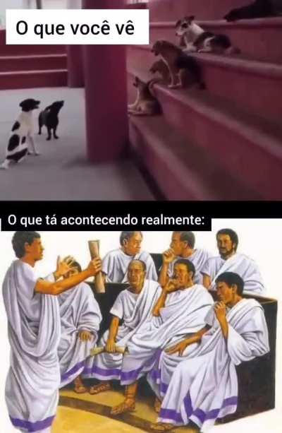 &Eacute; uma C&atilde;ofer&ecirc;ncia