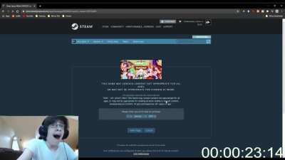 Finding Hentai Game on Steam, No Direct Search Run, WR(ule) (00:24.02)