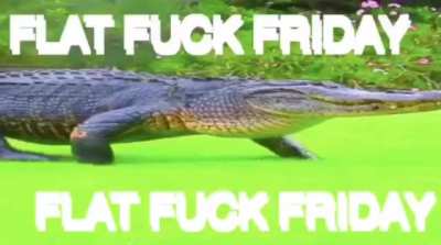 Flat fuck Friday