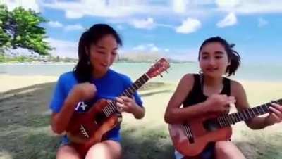 The best Ukulele duet you&rsquo;ll hear today.