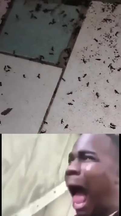 meme triste