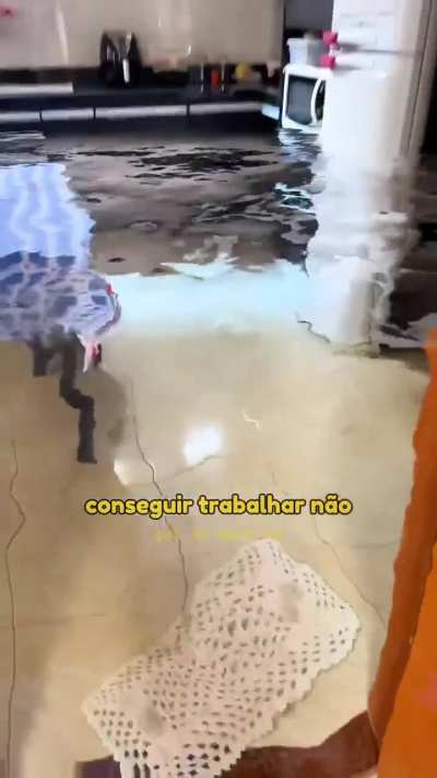 "Olha o cachorro aqu&aacute;tico"🤣🤣