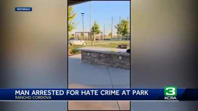 Man tries to run over people at a park; charged with hate crimes