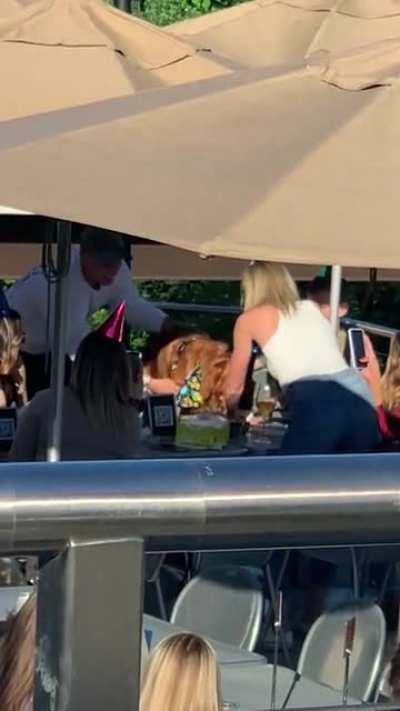 They're having a birthday party for the dog