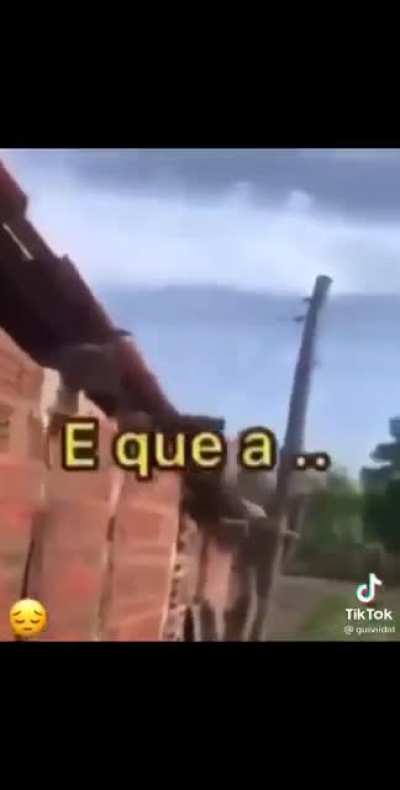Po&eacute;tico