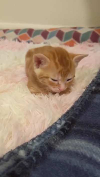 So sleepy