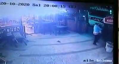 The dog owner somehow saw this situation coming with this Kung Fu cat