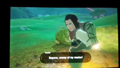 Remember that Yiga-Footsoldier trend a while ago?