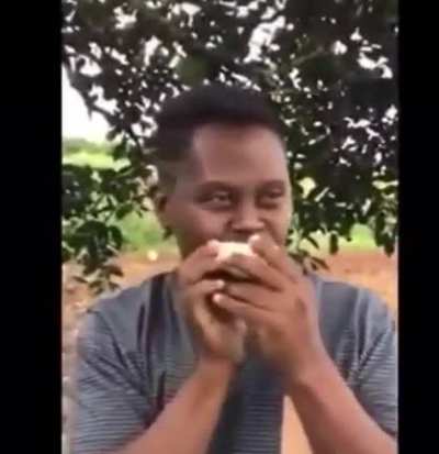 laranja docinha do pé