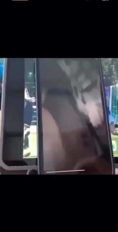 HAIDER UND KENAN VIDEO