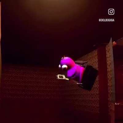 Oh look he&rsquo;s flying