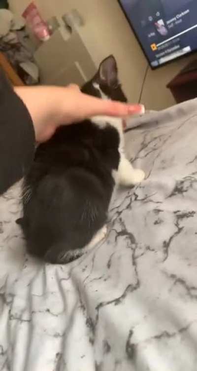 Not the cheese puff!