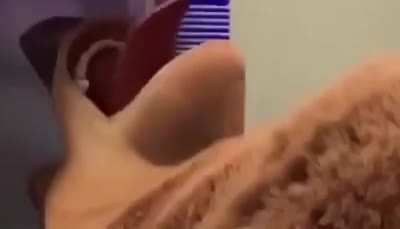 Open wide