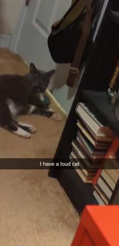 he's old and deaf