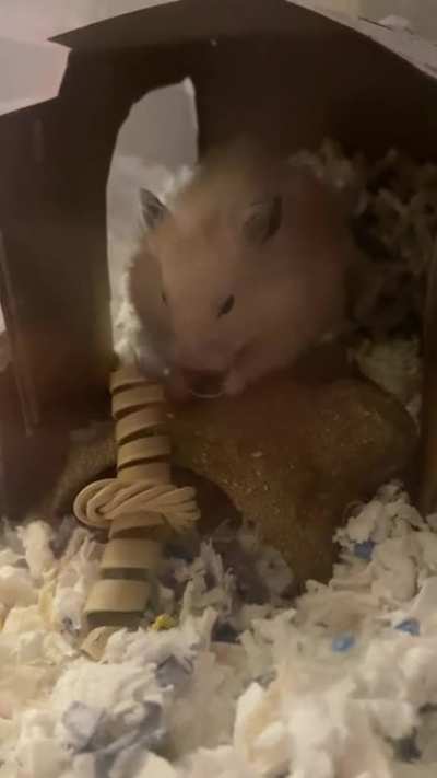 Must continue inspection in privacy 😤💛