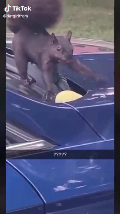Pretending to do work when your boss is around