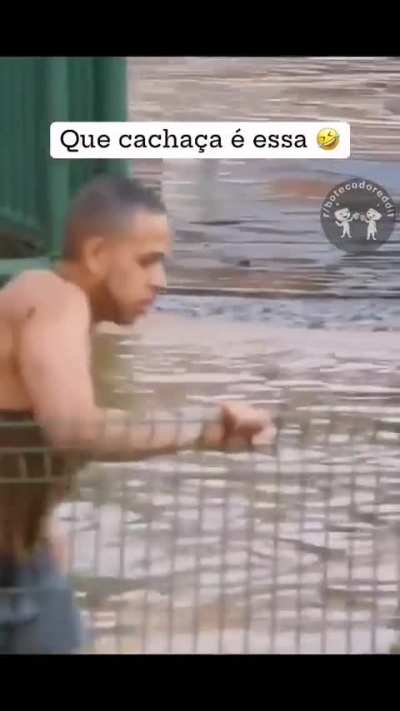 Cacha&ccedil;a boa! 