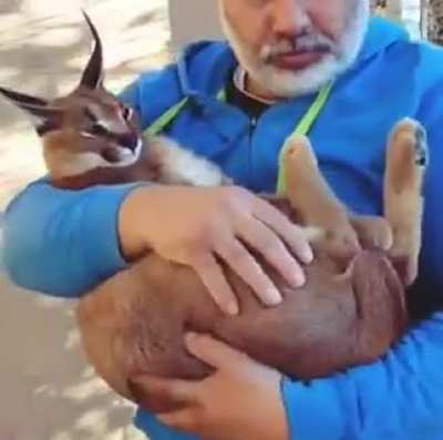 He be holding flopp