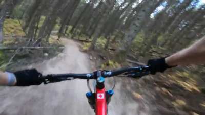 Ripping a local trail