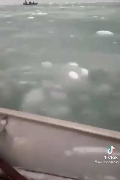 Касатка напала на лодку эскимосов
