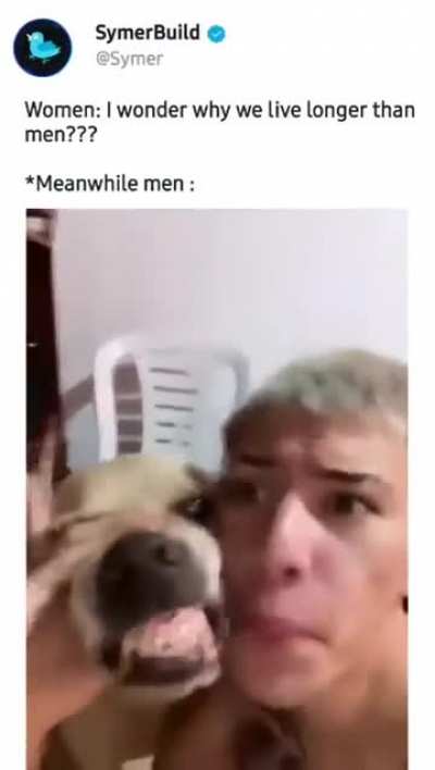 Dog-box
