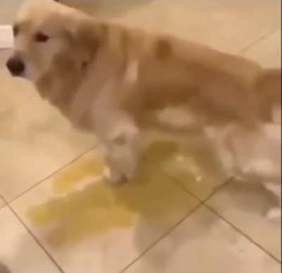 Yo cuando el profe no me deja ir al ba&ntilde;o porque ya fue un compa&ntilde;ero