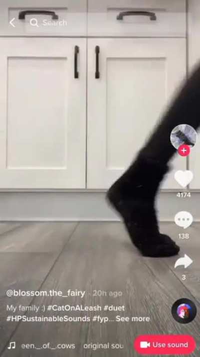 reHEHEHE