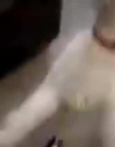 da dog