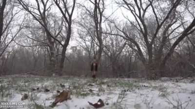 Winter day