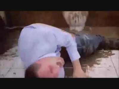 Technically, I&rsquo;m posting about shit, making this the best shitpost.