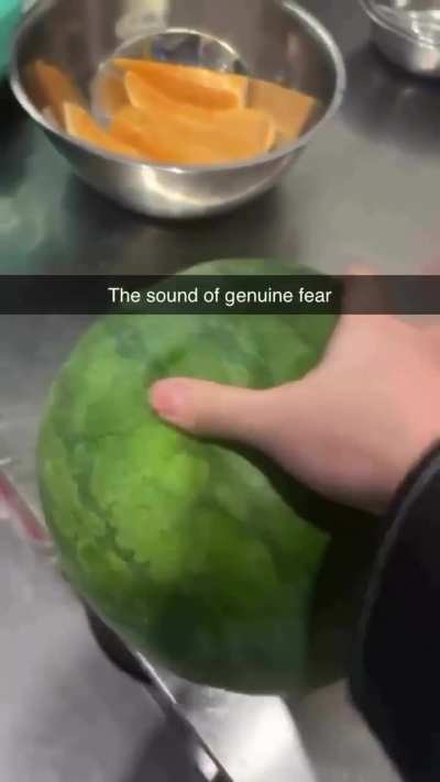 Moldy watermelon