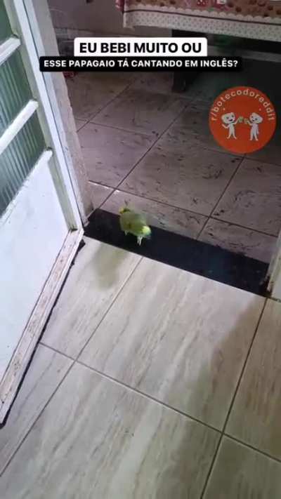 Canta mais que eu!