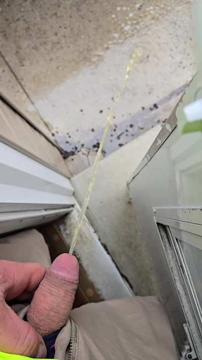 Do-do-do, pissin out my back door