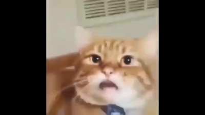 iamete cudasai 😱😱😱😭😭😭😭😳😳😳😳