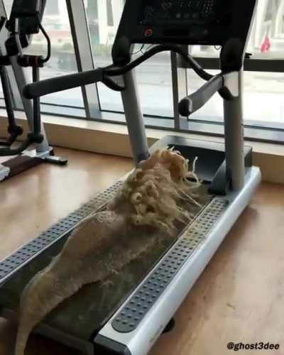 ***
