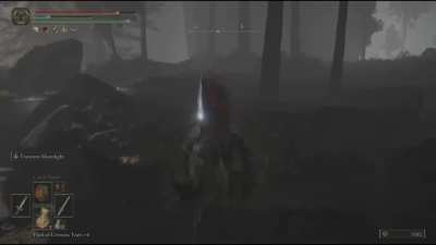 The most stylish (but ultimately pointless) thing I've done in Elden Ring
