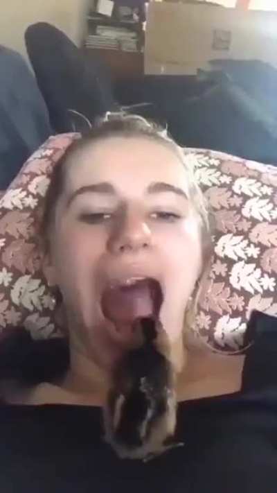Bird goes inside chick!!!