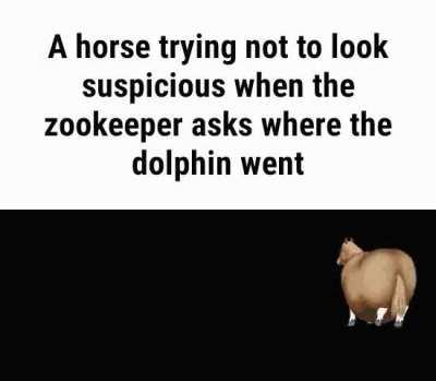 horsey