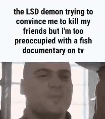 fish