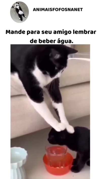 Beba água
