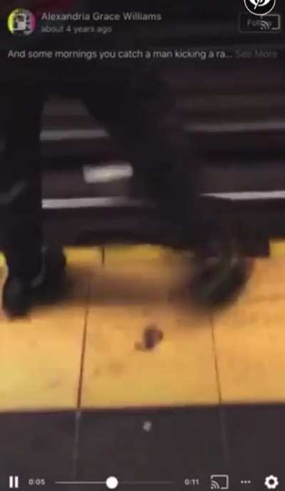 We ain&rsquo;t Fw No 🐀&rsquo;s around here🙅🏾&zwj;♂️ every subway 🐀 Shot💥