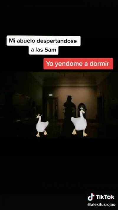 Tipico