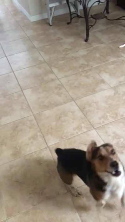 I&rsquo;ll save you from the ballon mom... oh no it&rsquo;s coming for me