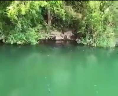 Fishing….yea no